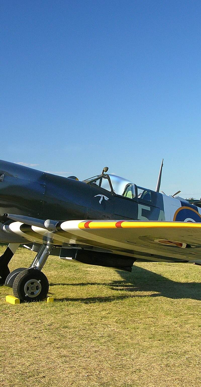  - Warbird