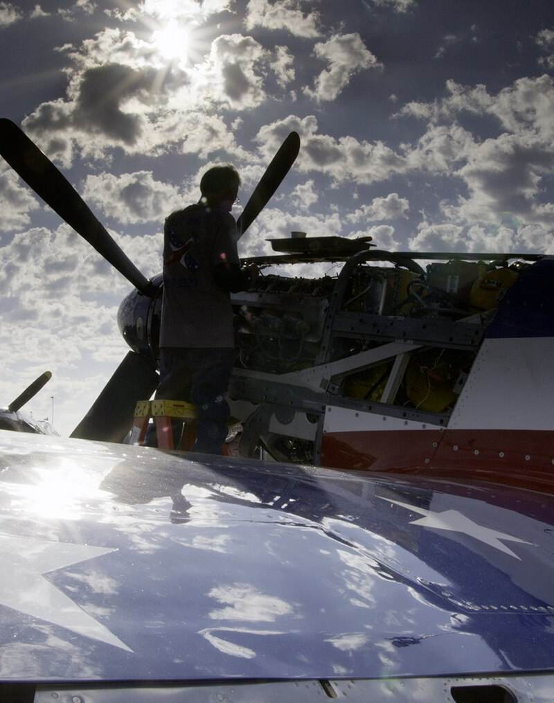  - Warbird