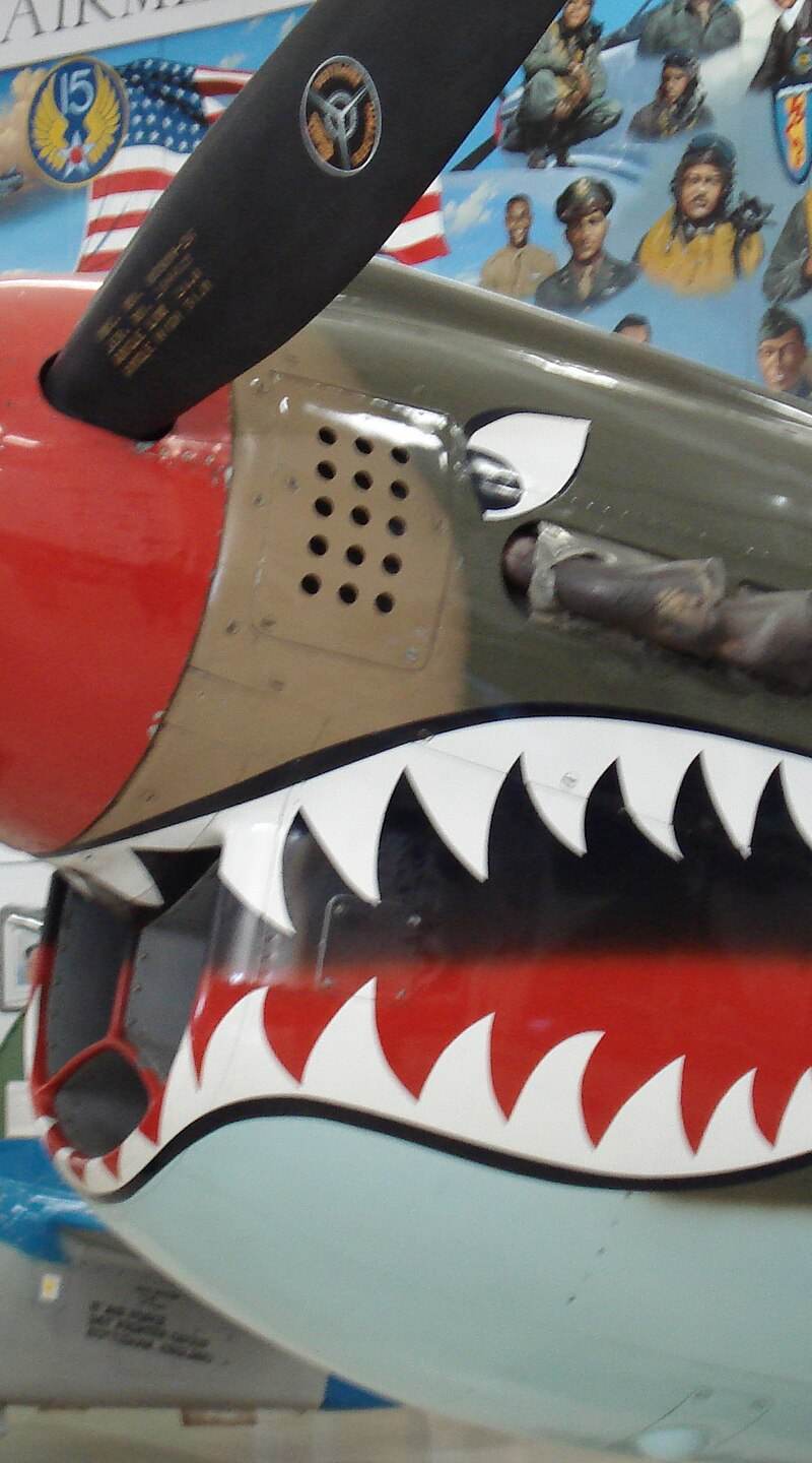  - Warbird