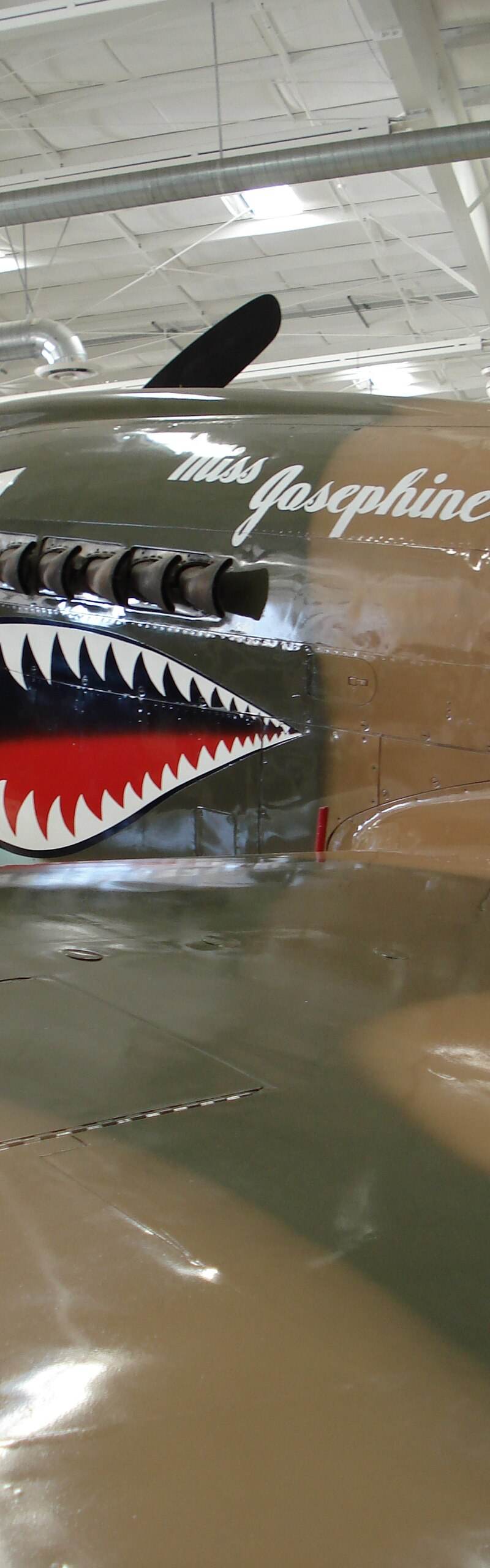  - Single-engine aircraft