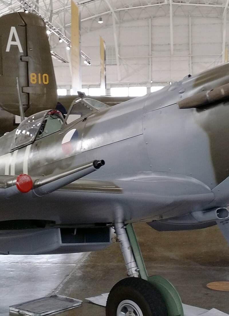  - Warbird