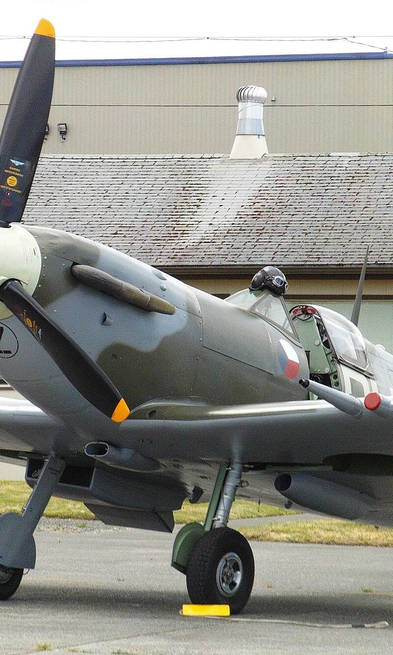  - Warbird