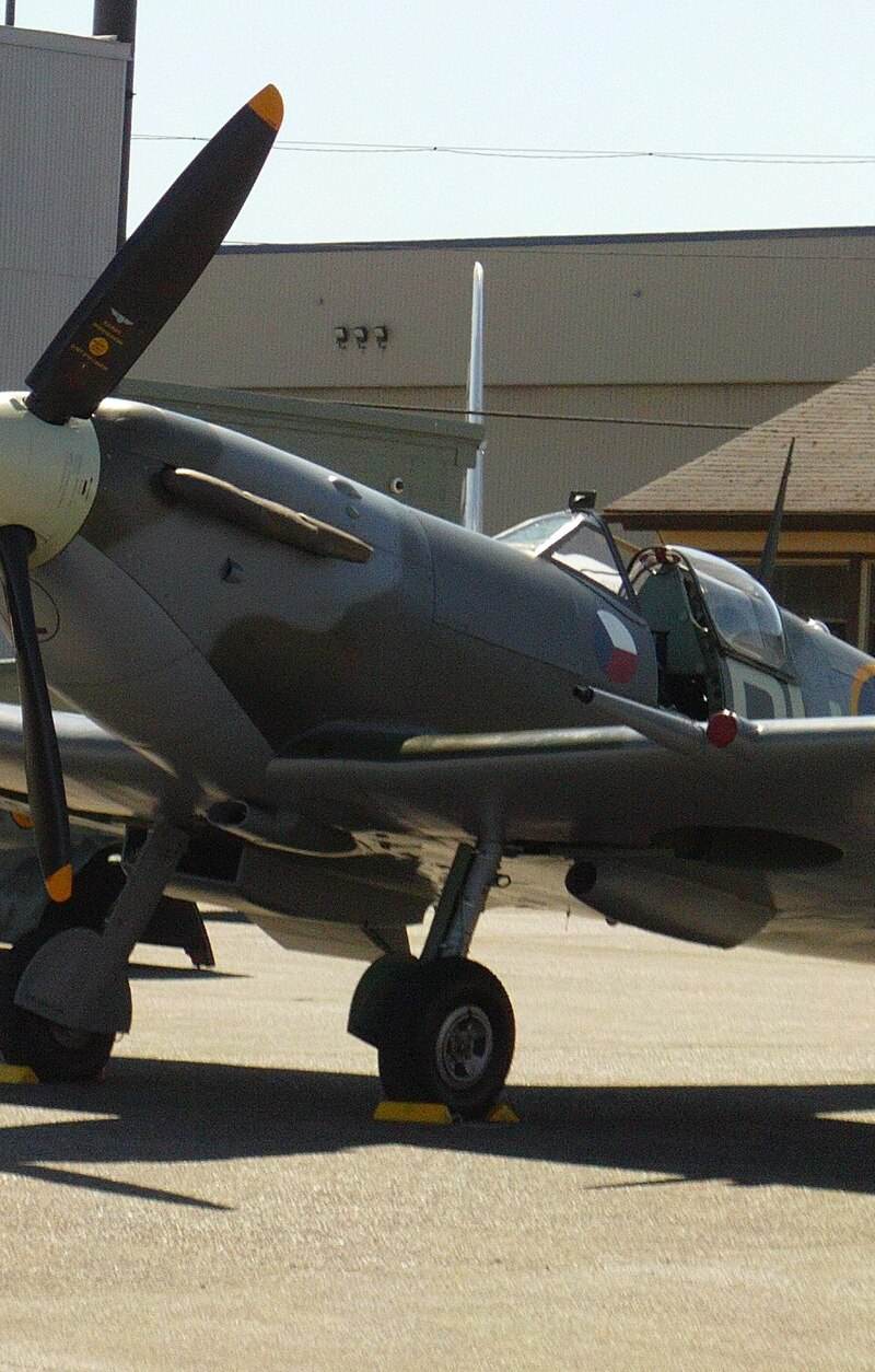  - Warbird