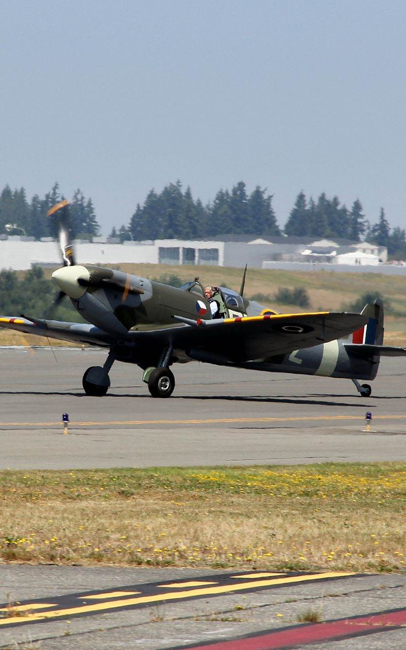  - Warbird