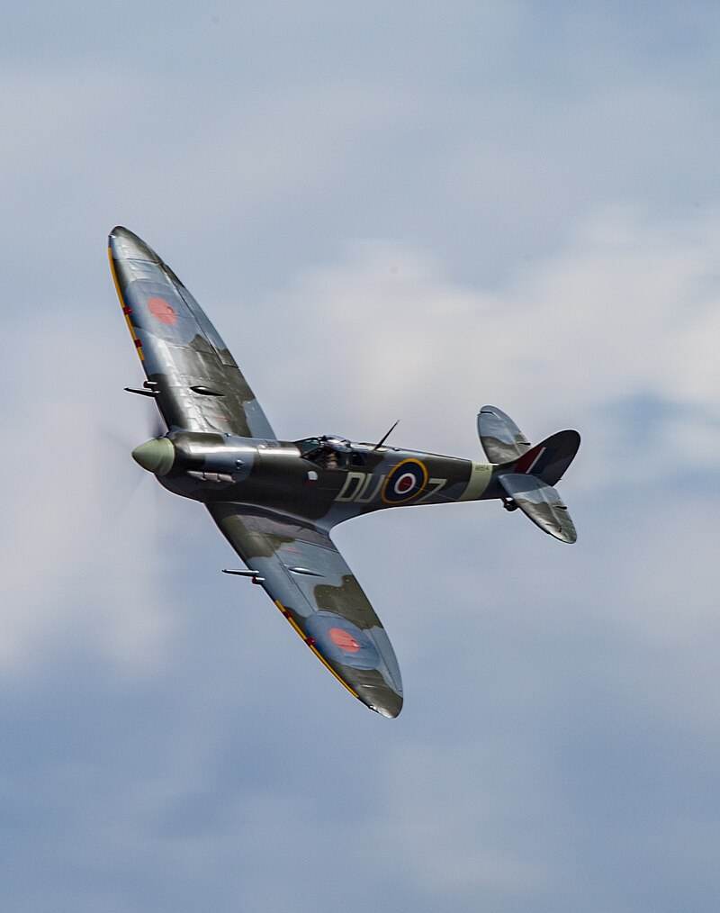  - Warbird