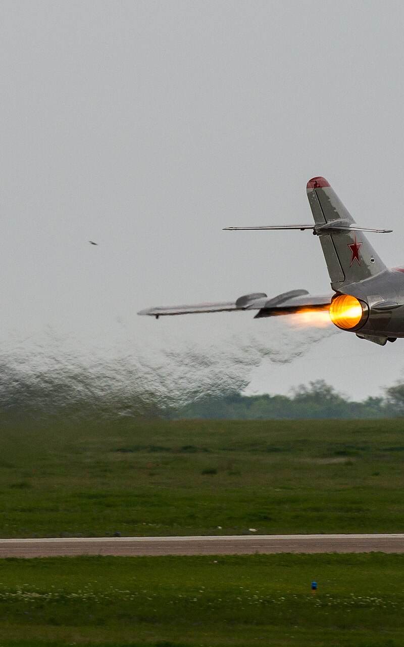  - Warbird