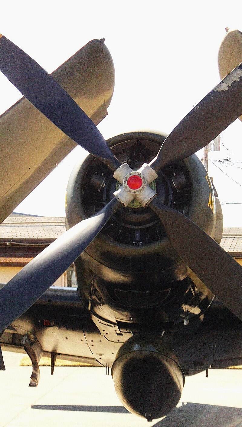  - Warbird