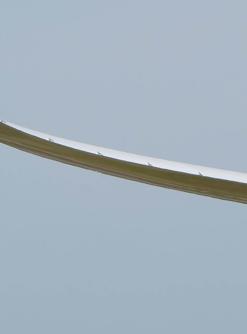 N1008S - Aircraft