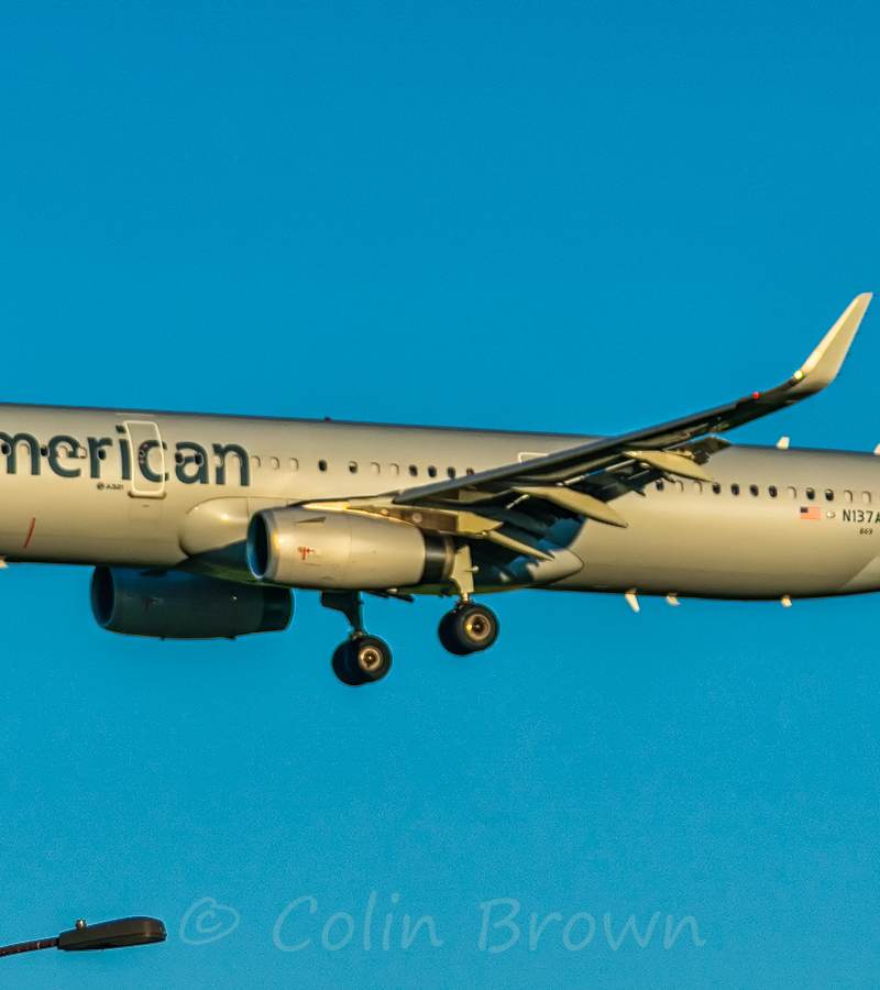 N137AA - Airbus