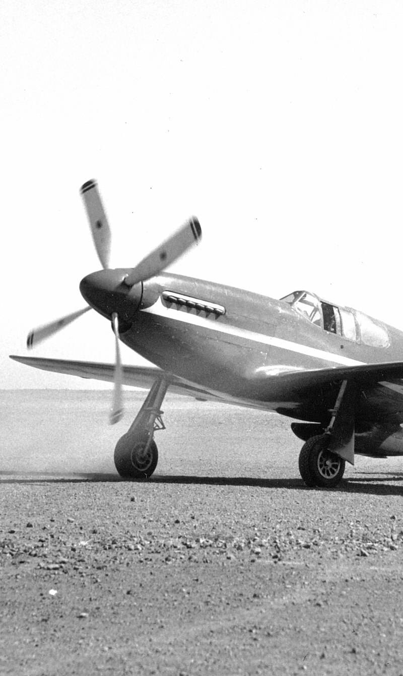  - Warbird