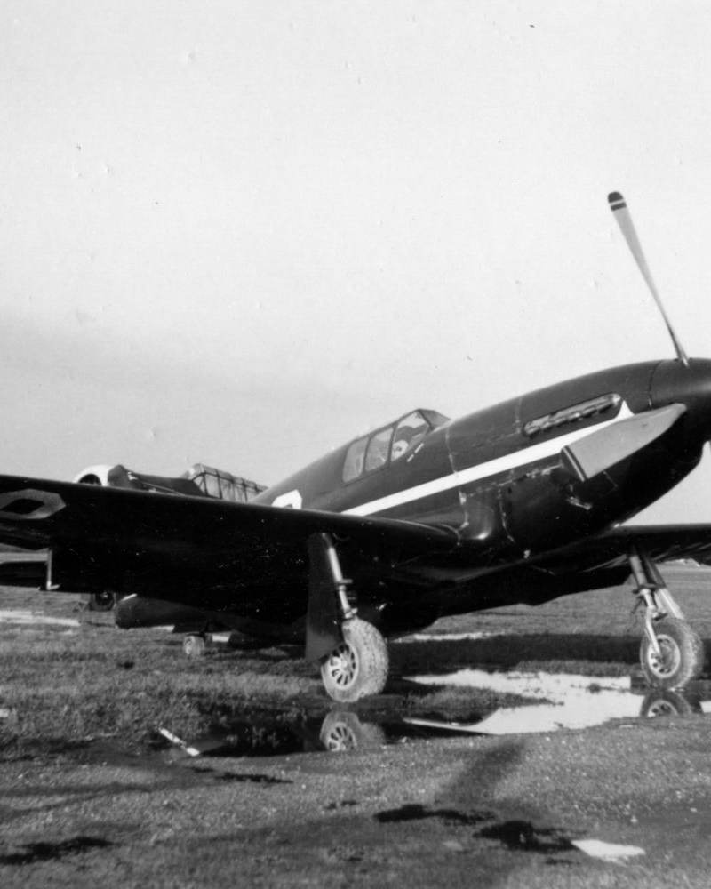  - Warbird