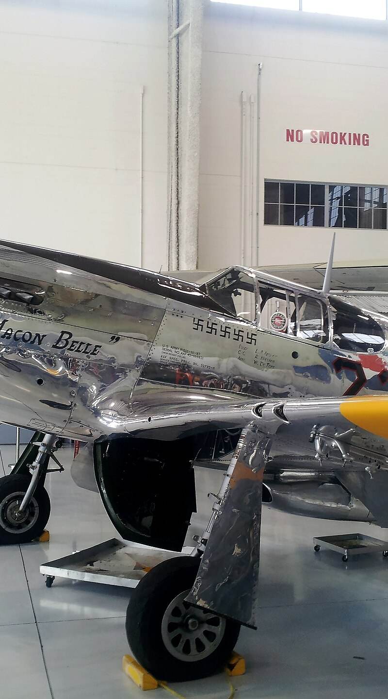 N1204 - Warbird