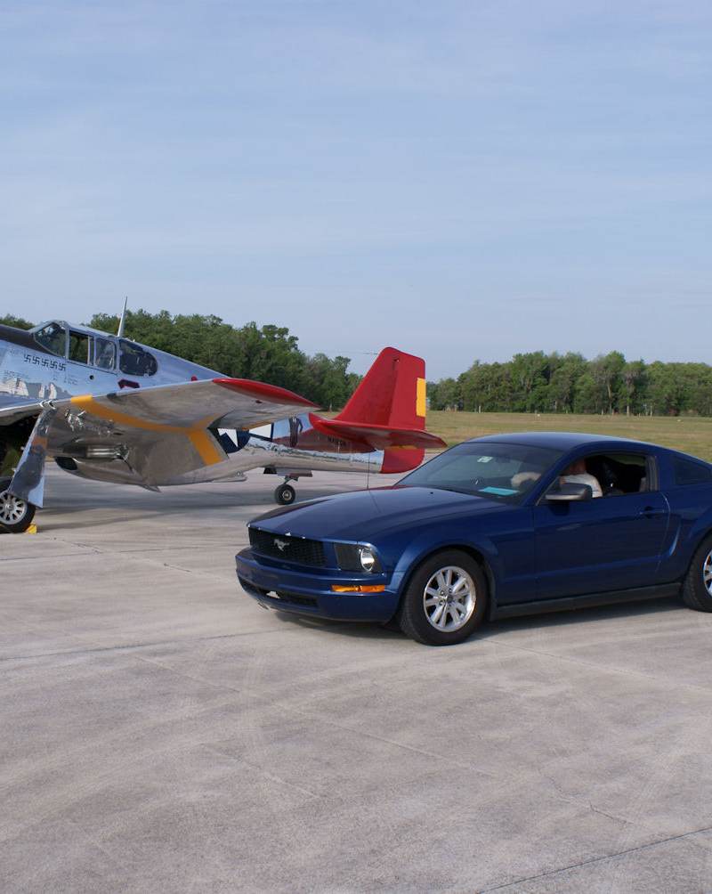  - Warbird