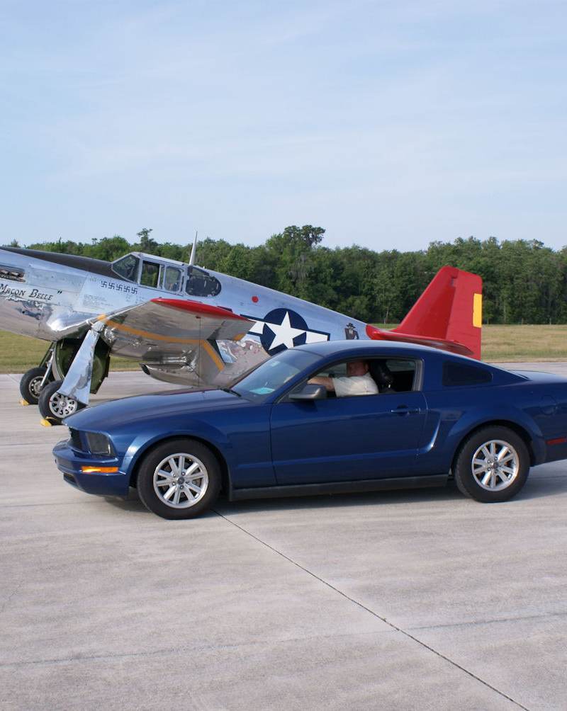  - Warbird
