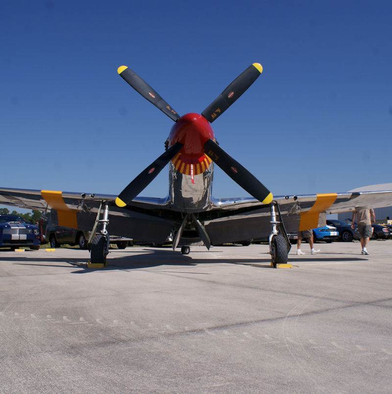  - Warbird