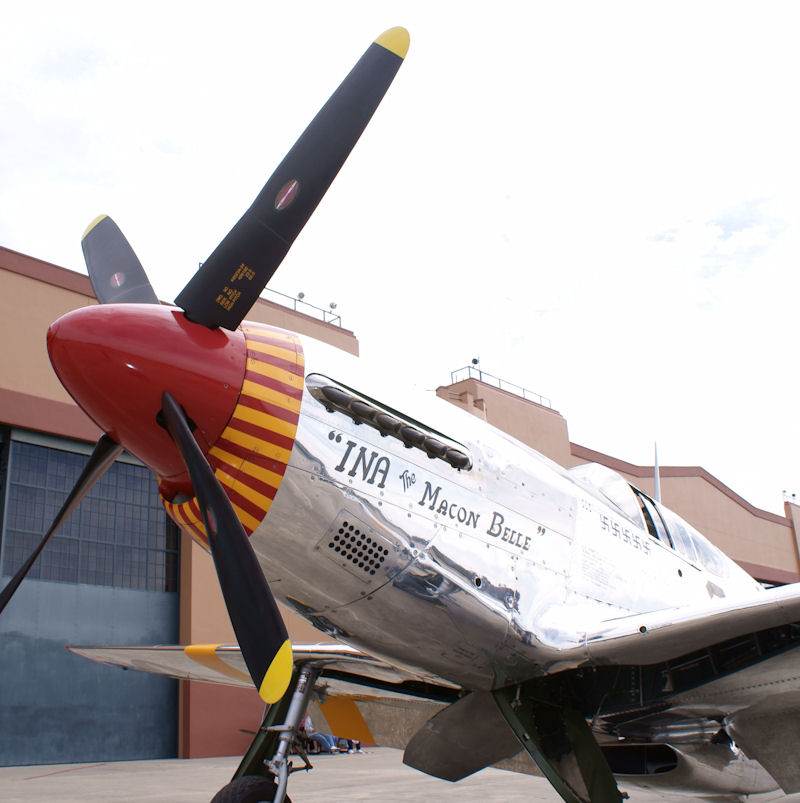  - Warbird