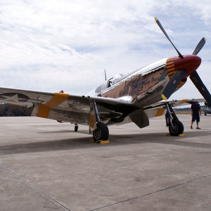  - Warbird