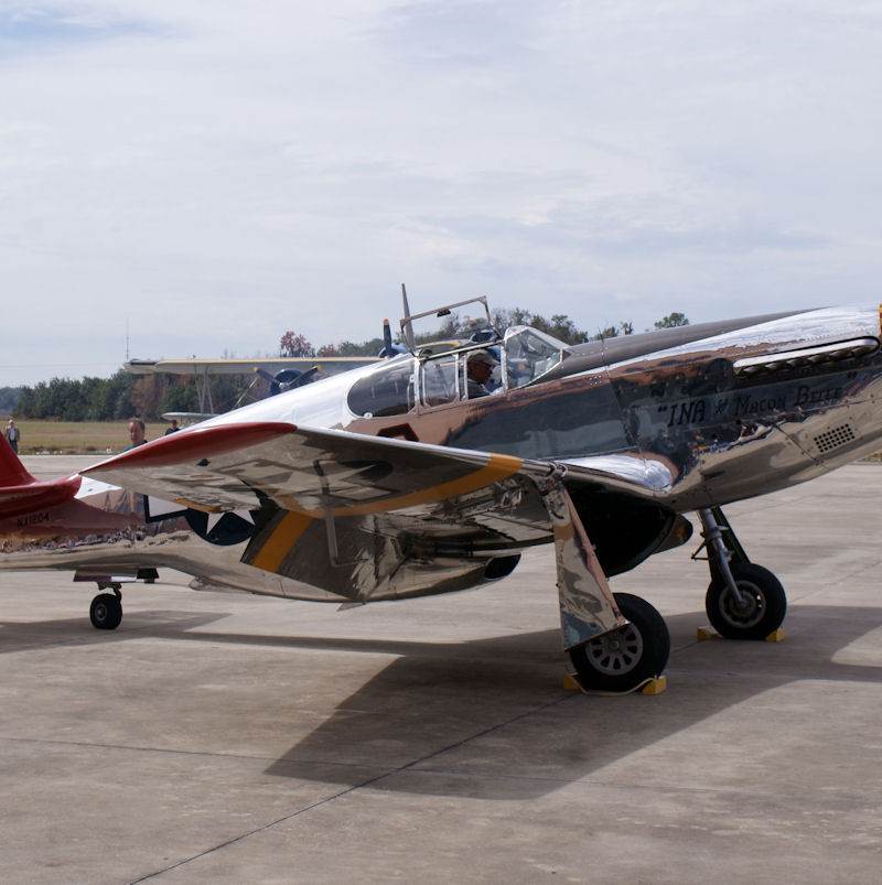  - Warbird