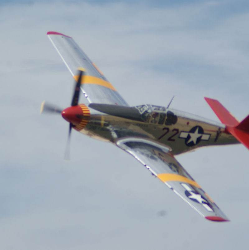  - Warbird
