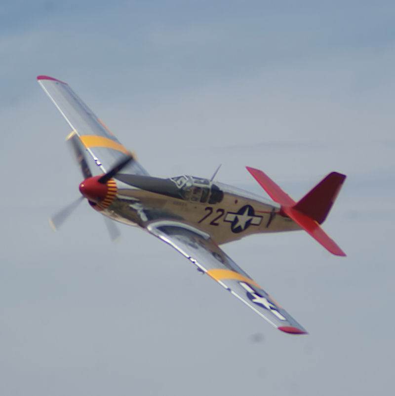  - Warbird