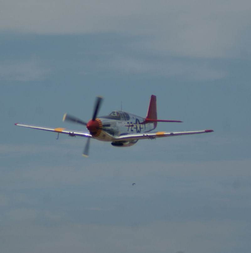  - Warbird