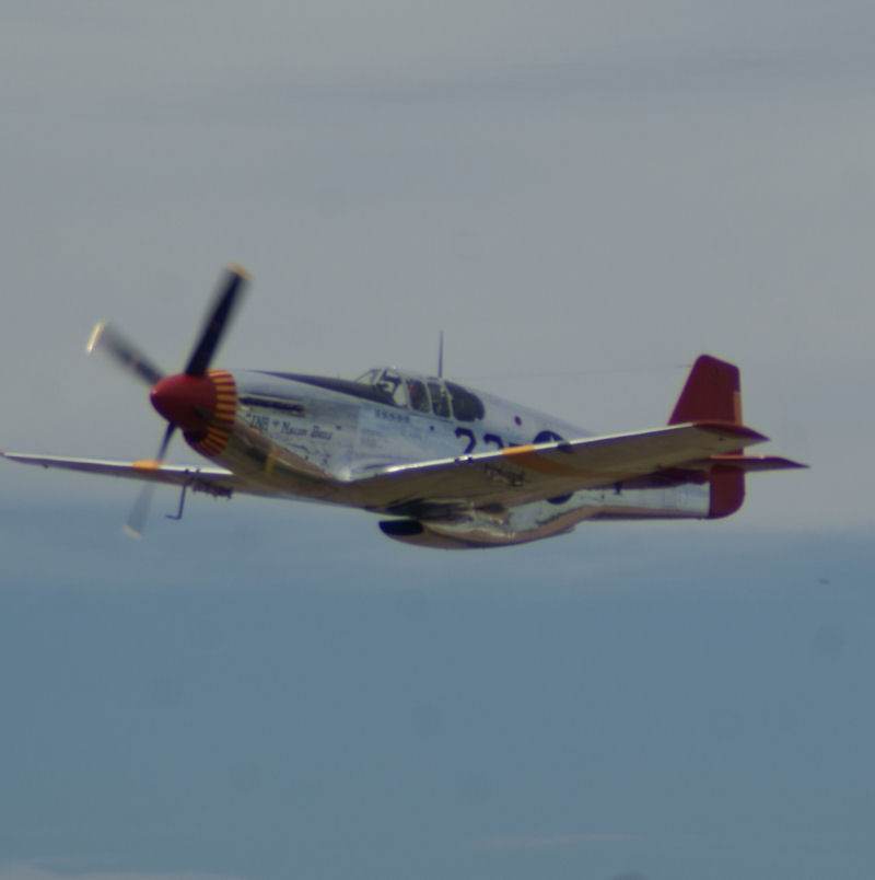  - Warbird