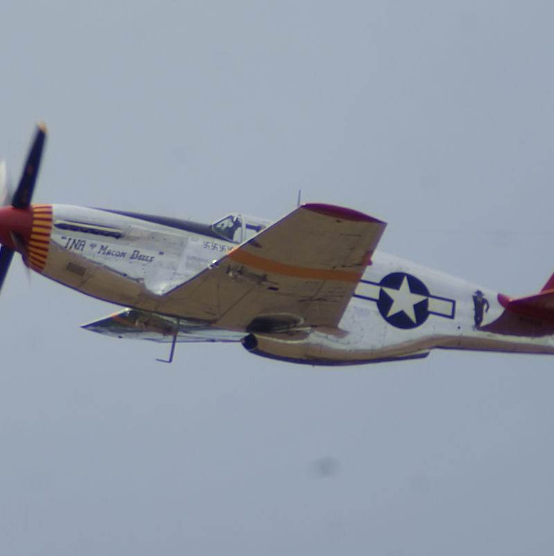  - Warbird