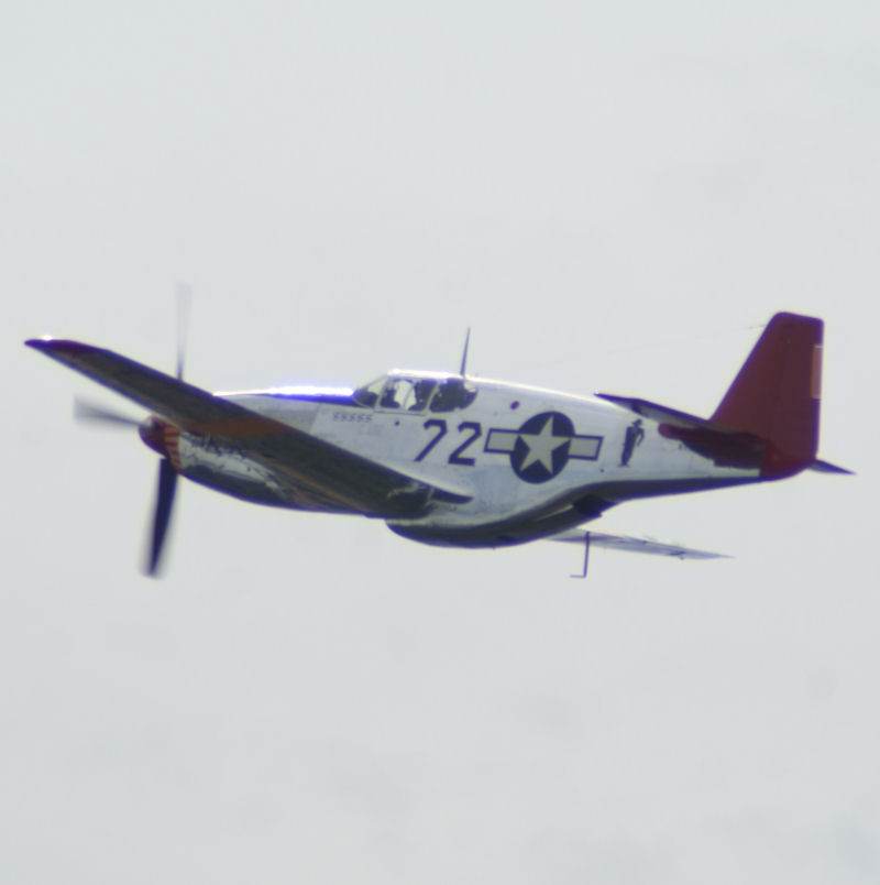  - Warbird