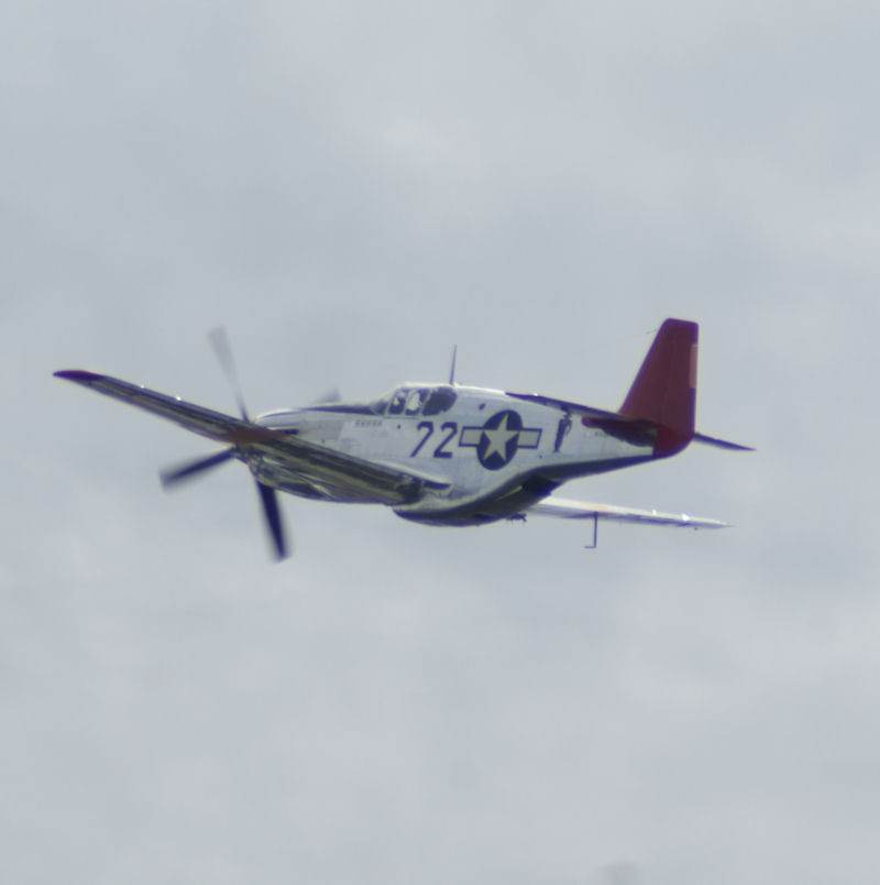  - Warbird