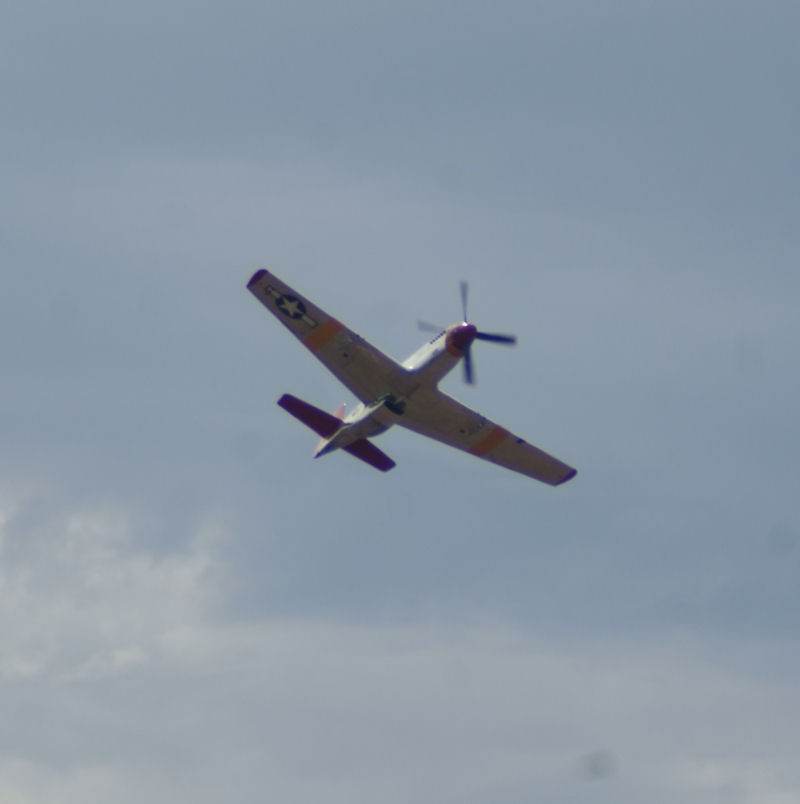  - Warbird