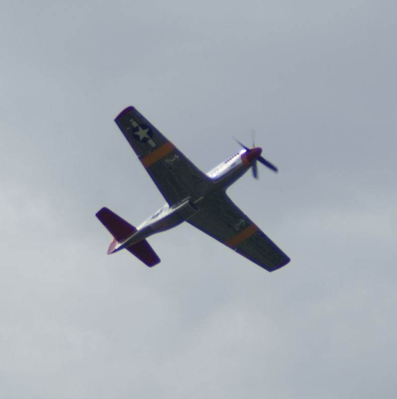  - Warbird