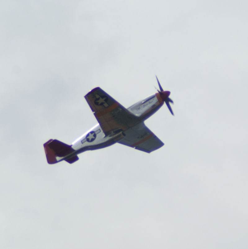  - Warbird