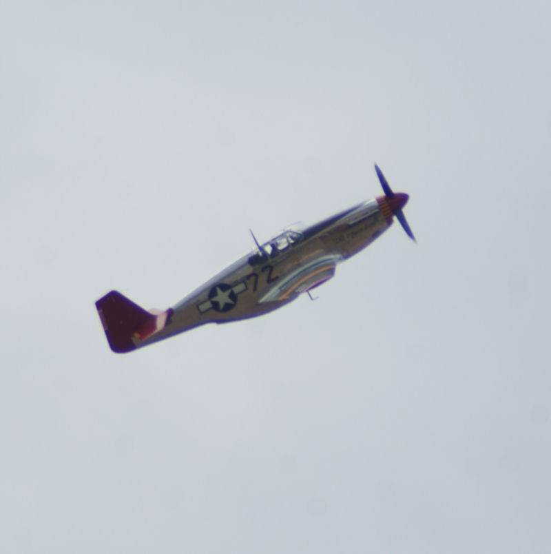  - Warbird