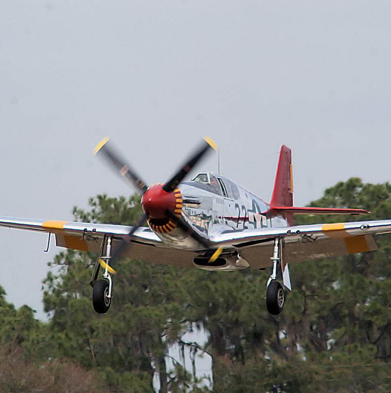  - Warbird