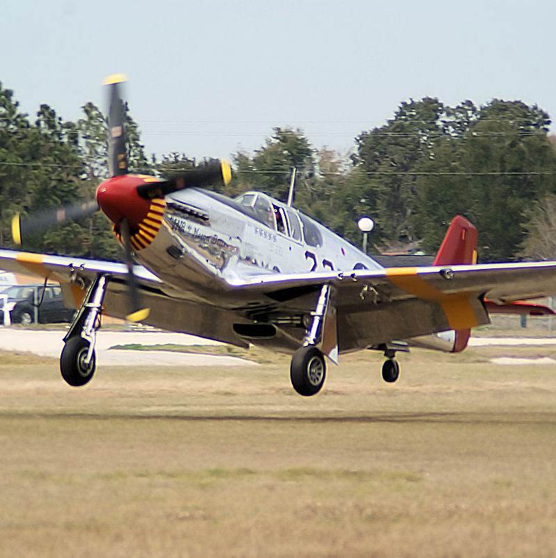  - Warbird