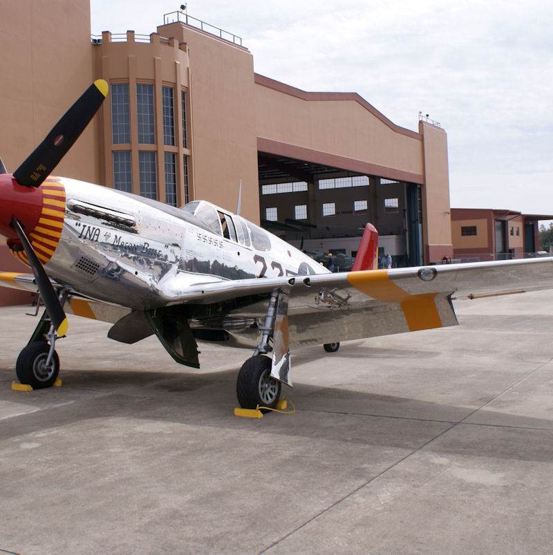  - Warbird