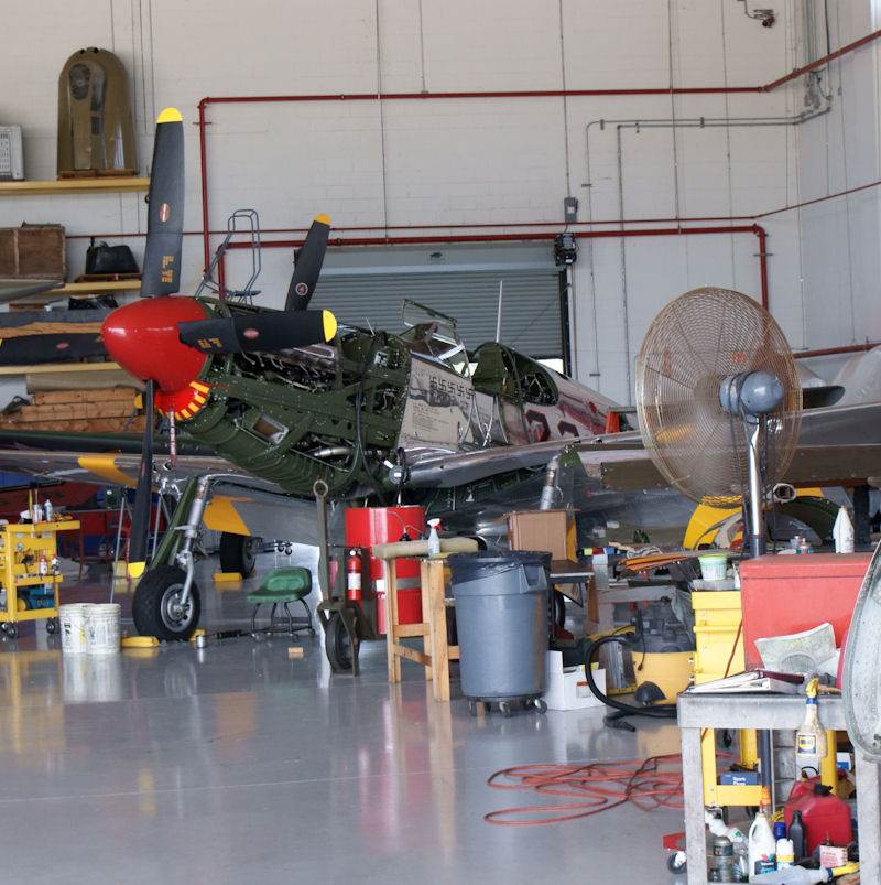  - Warbird