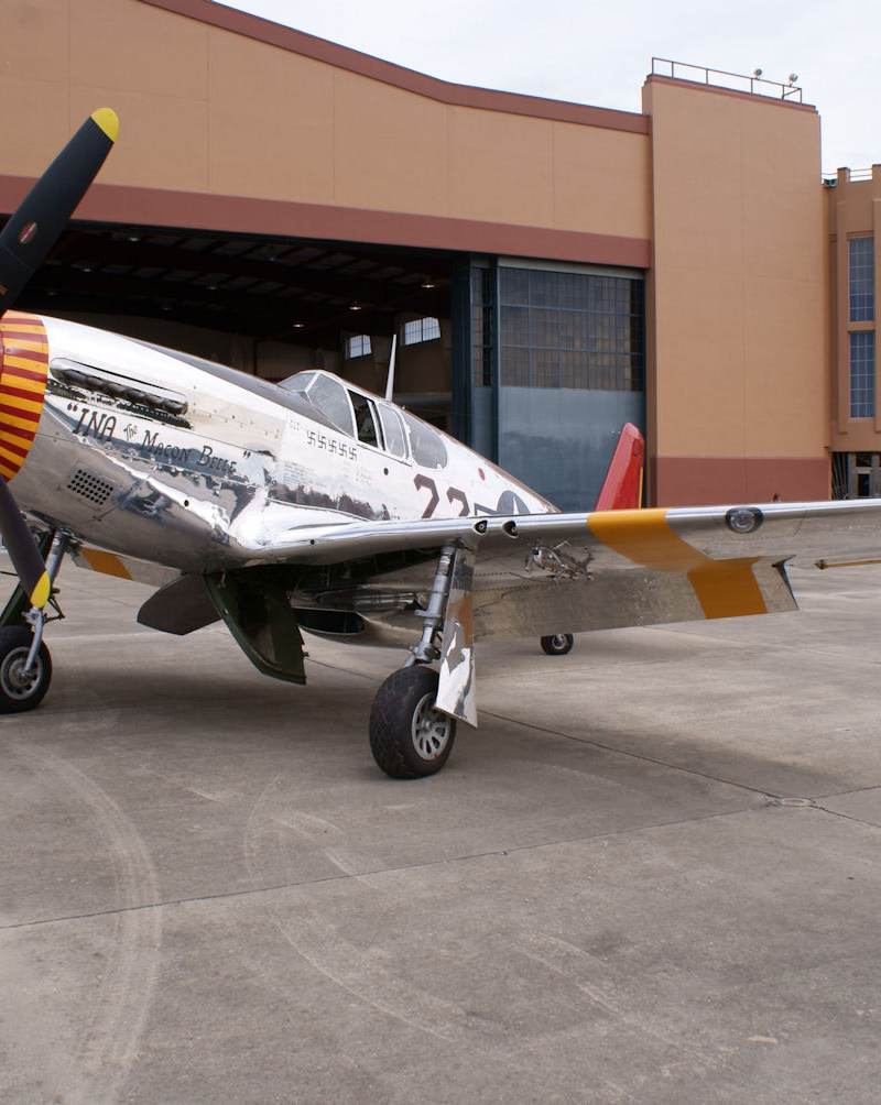  - Warbird