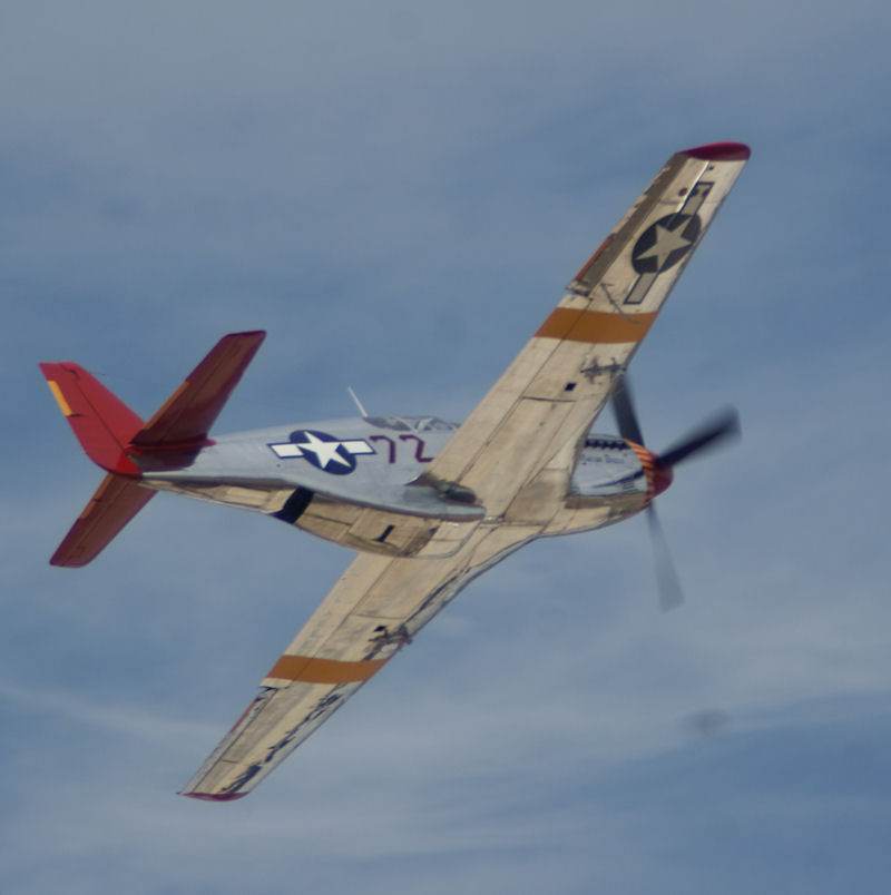  - Warbird