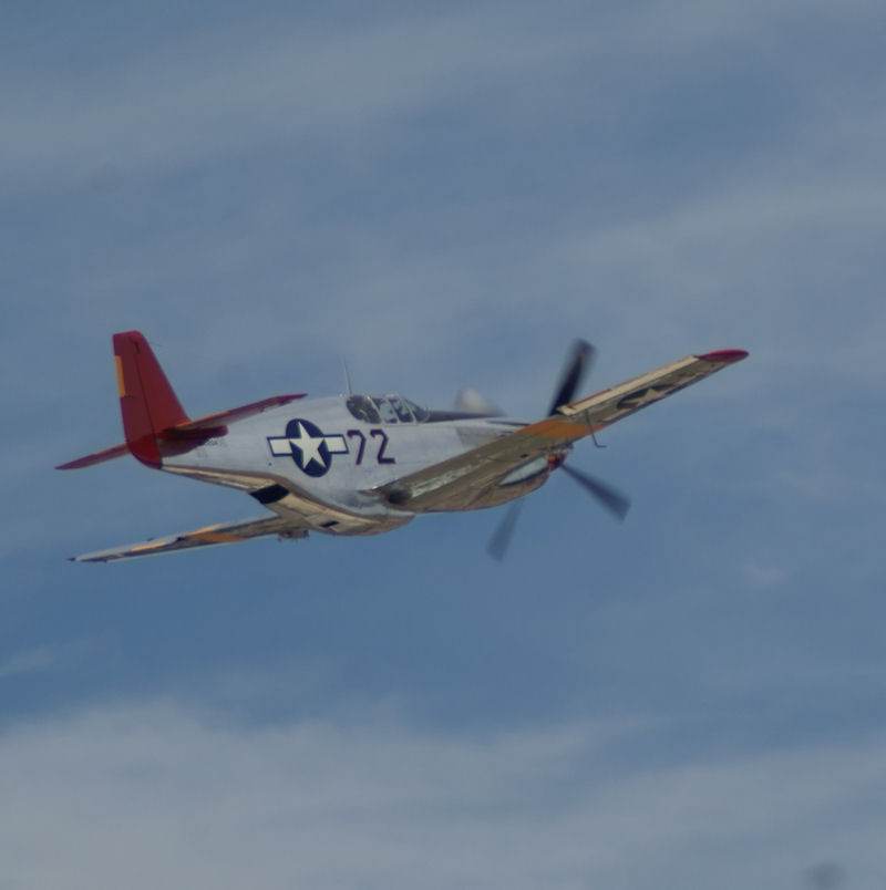  - Warbird