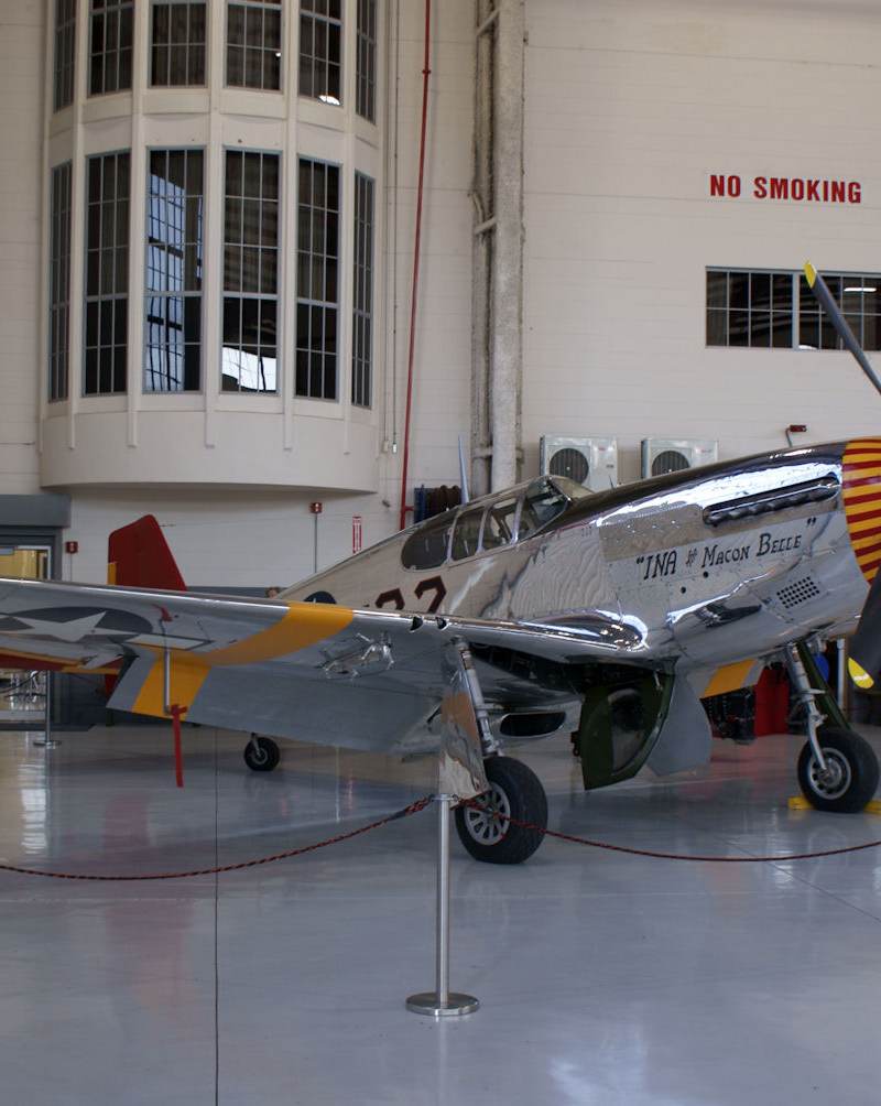  - Warbird