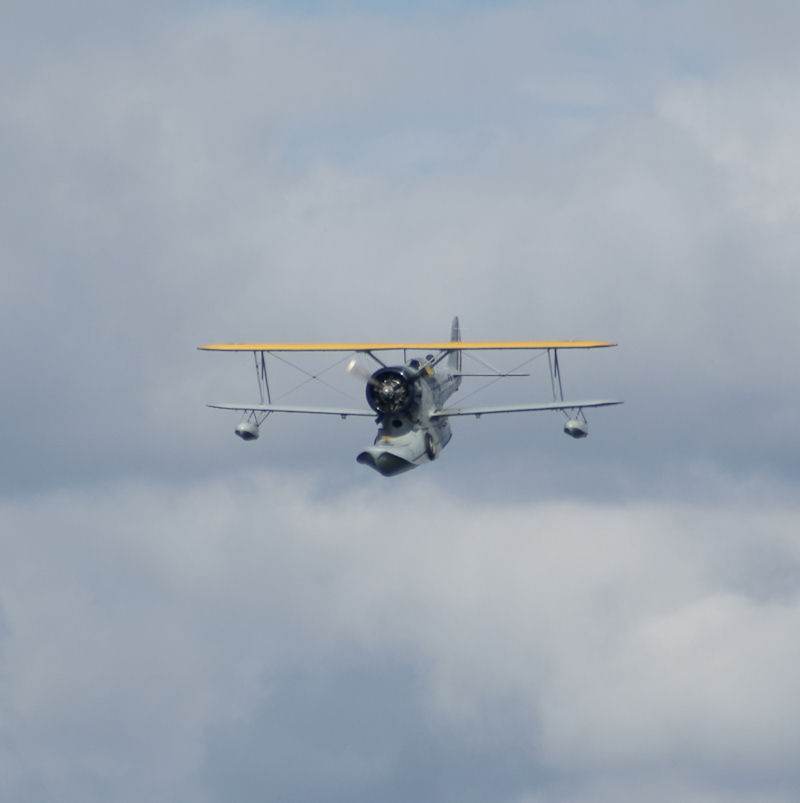 N1214N - Single-engine aircraft