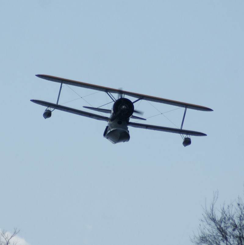 N1214N - Warbird