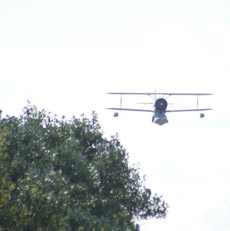 N1214N - Single-engine aircraft