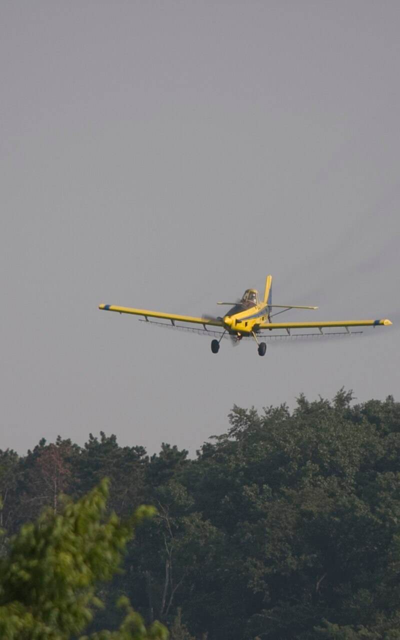 N1531G - Single-engine aircraft