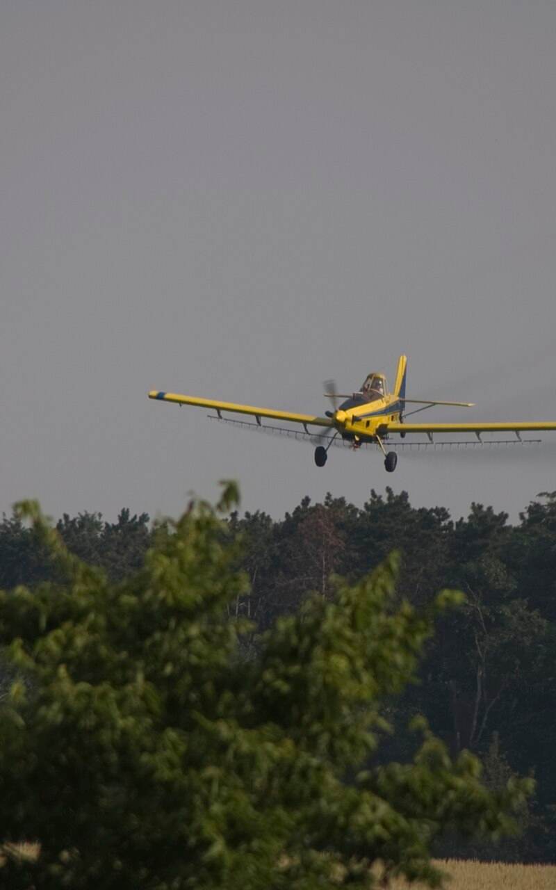 N1531G - Single-engine aircraft