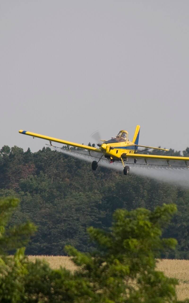 N1531G - Single-engine aircraft