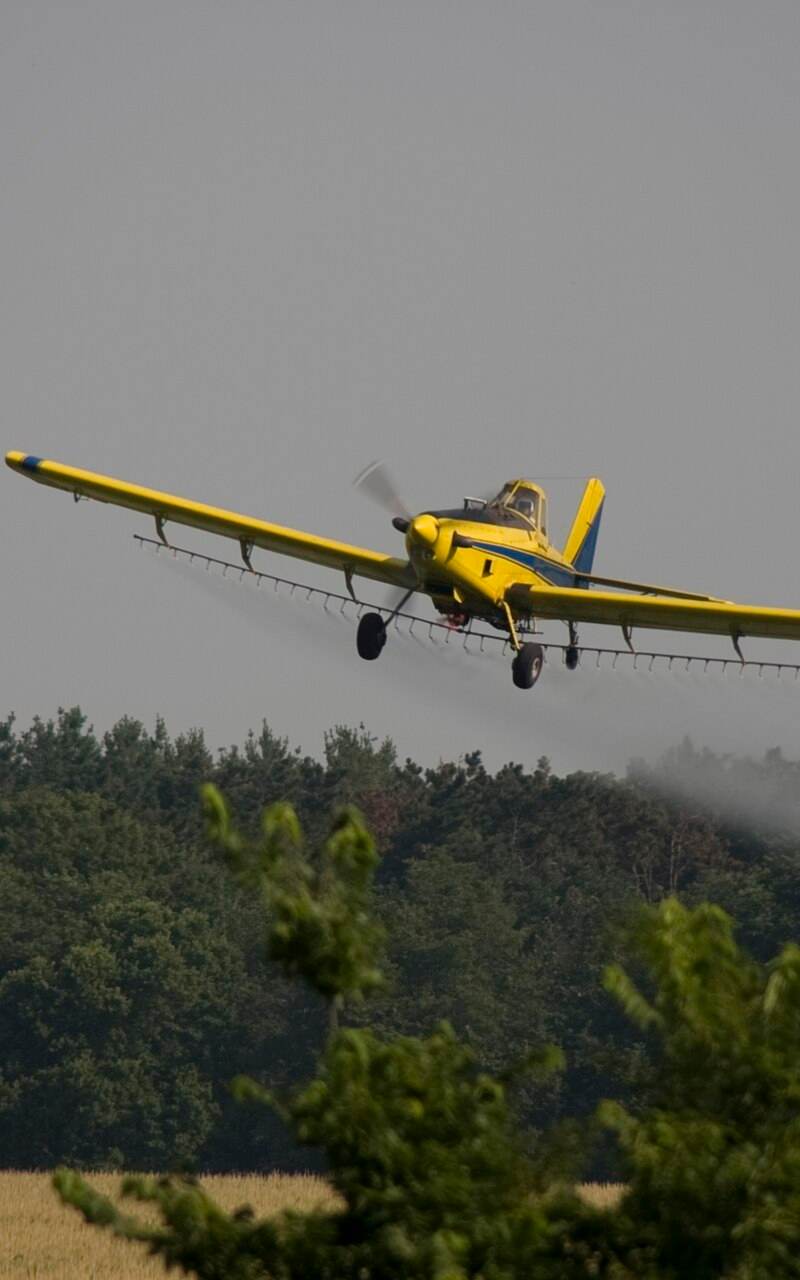N1531G - Single-engine aircraft
