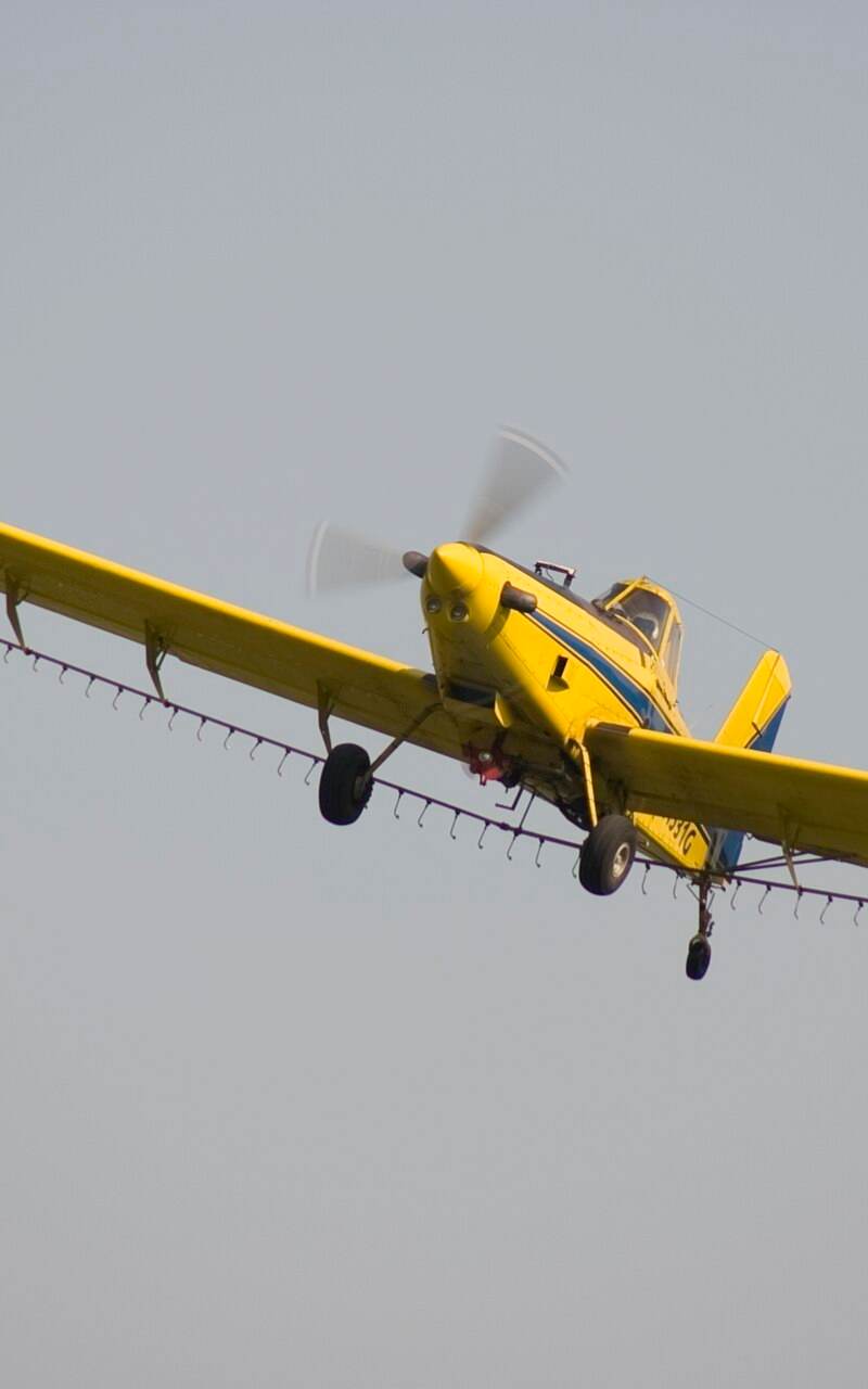 N1531G - Single-engine aircraft