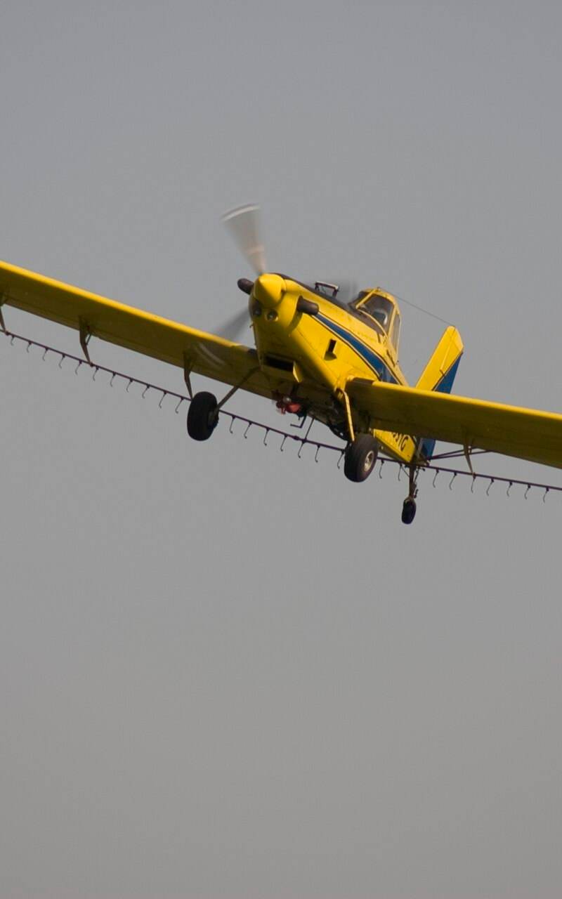 N1531G - Single-engine aircraft